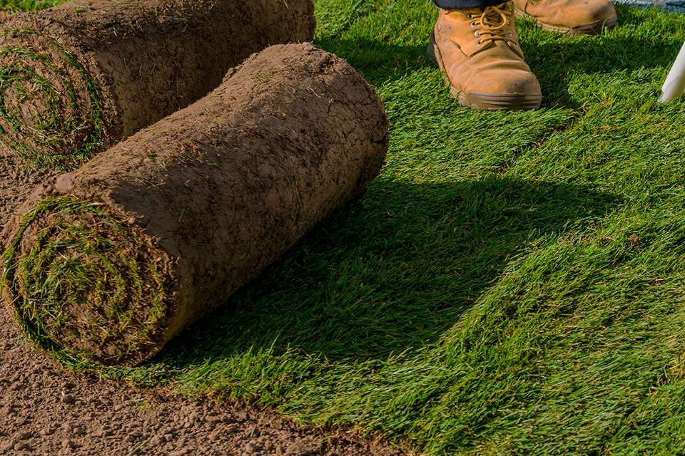 Sod Installers near me in Wichita's
