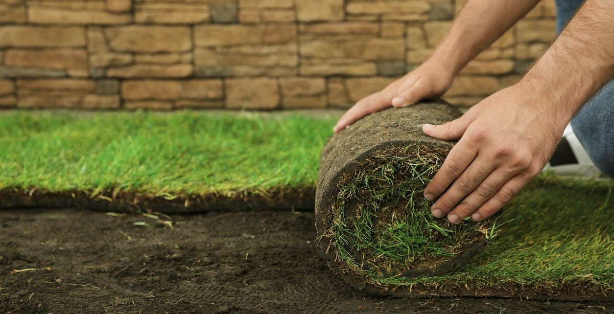 Sod Installers near me in Wichita's