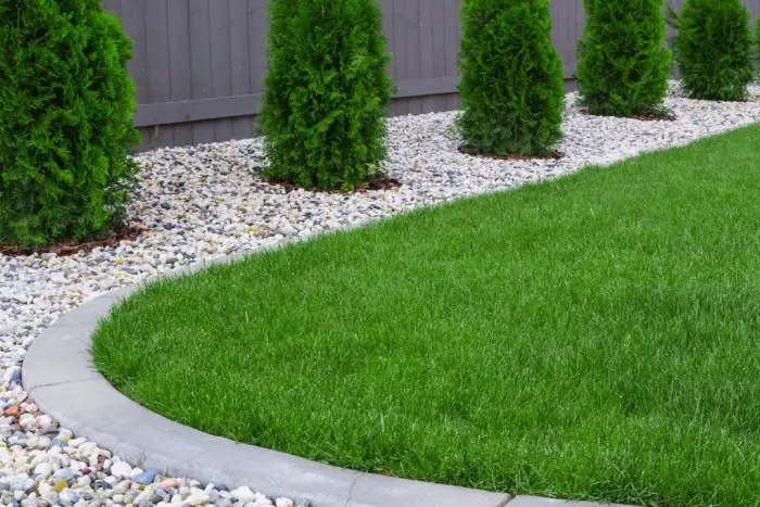 landscaped_garden_with_green_grass_and_coniferous_trees_on_stone_bed