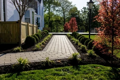 A charming pathway made of paver stones, flanked by neatly trimmed shrubs and ornamental grasses. The path leads toward a house with white siding, while colorful trees add a touch of greenery in the background. Soft sunlight brightens the scene, creating an inviting atmosphere.