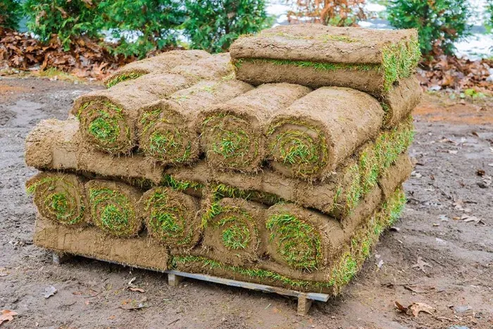 Stack of freshly rolled sod grass on a dirt surface, showcasing multiple layers of green turf ready for landscaping projects.